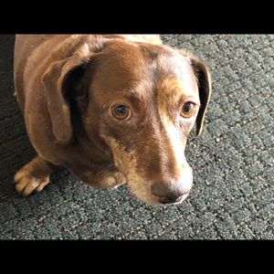 Meet your Posher, Terry